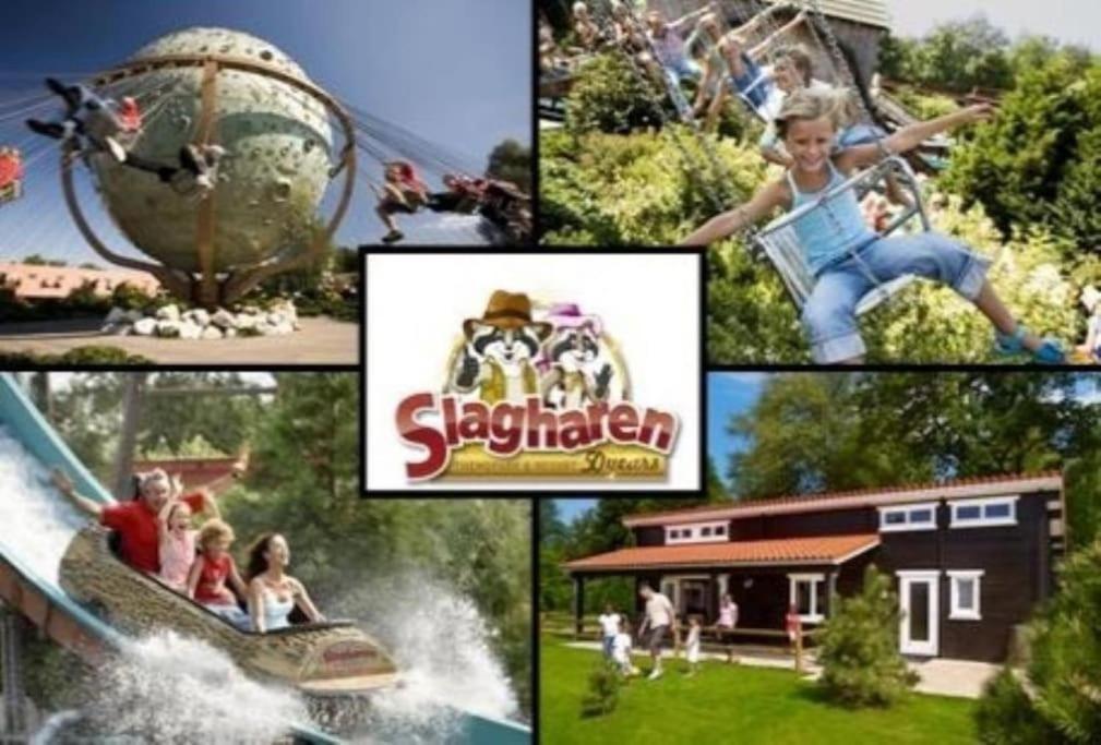 Camping De Pallegarste Chalet 119 Marienberg エクステリア 写真