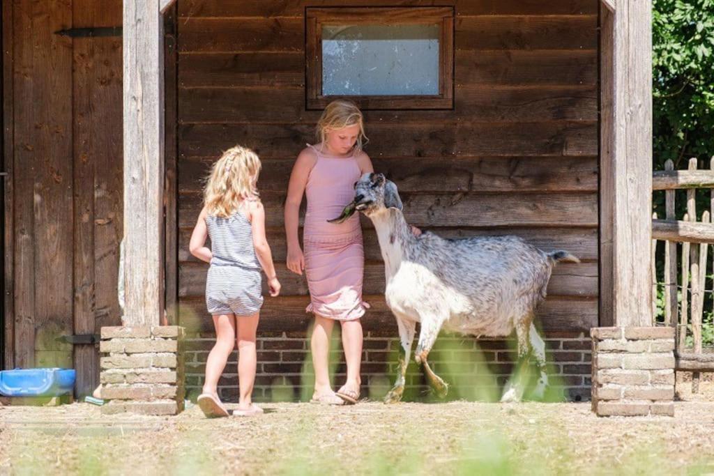 Camping De Pallegarste Chalet 119 Marienberg エクステリア 写真