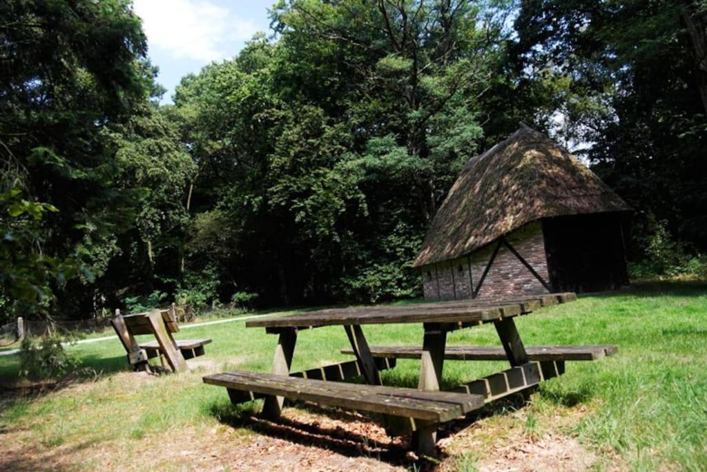Camping De Pallegarste Chalet 119 Marienberg エクステリア 写真