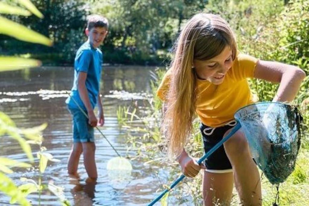 Camping De Pallegarste Chalet 119 Marienberg エクステリア 写真